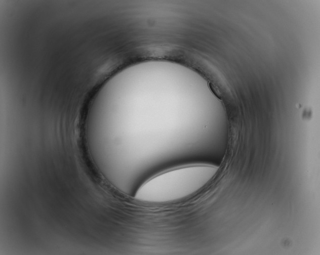 X0000103320216200809051006