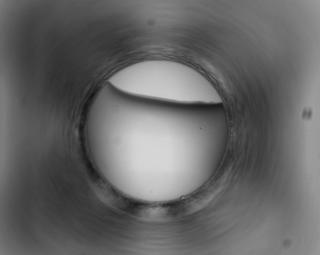 X0000103320217200809051006