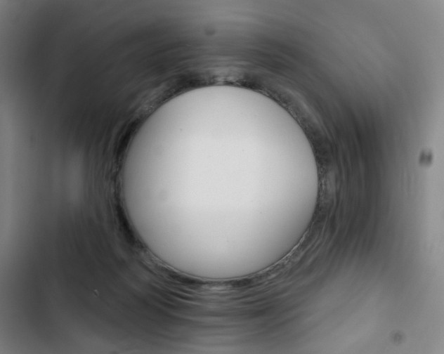 X0000103320218200809051006