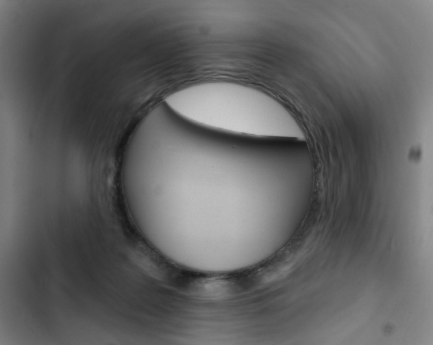 X0000103320219200809051006