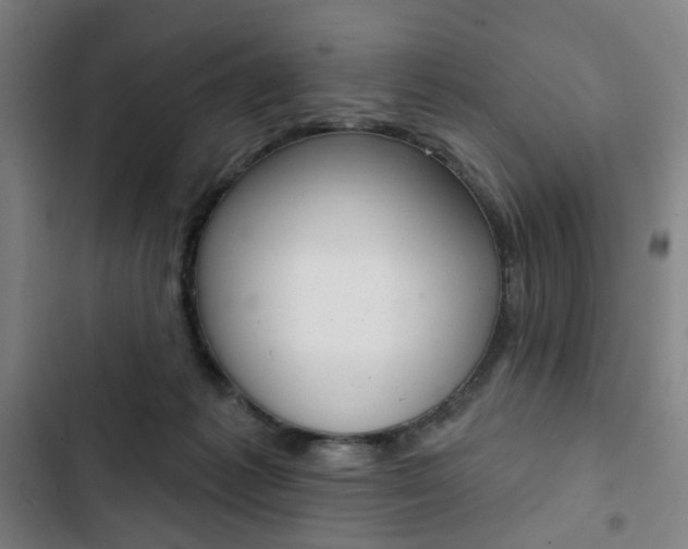 X0000103320221200809051006