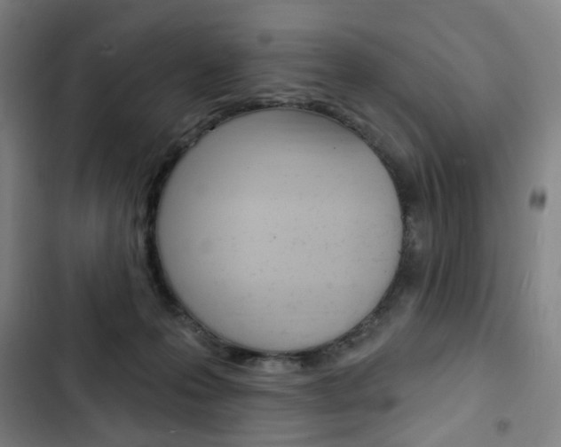 X0000103320223200809051006