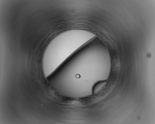 X0000103320224200809051006