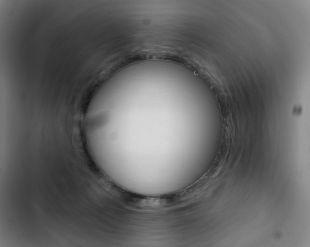 X0000103320225200809051006