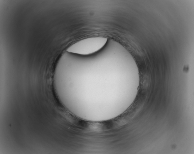 X0000103320226200809051006