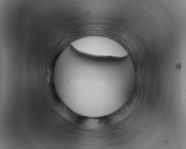 X0000103320227200809051006