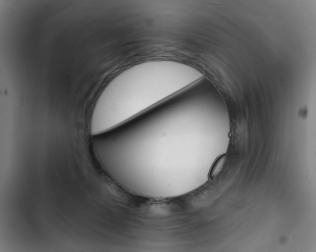 X0000103320228200809051006