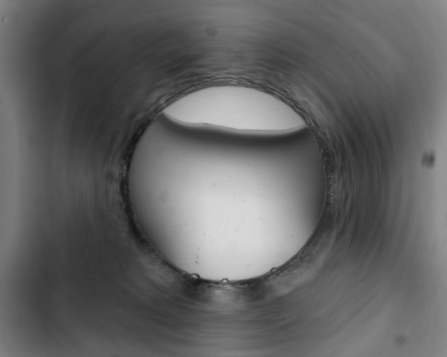 X0000103320229200809051006