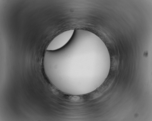 X0000103320230200809051006