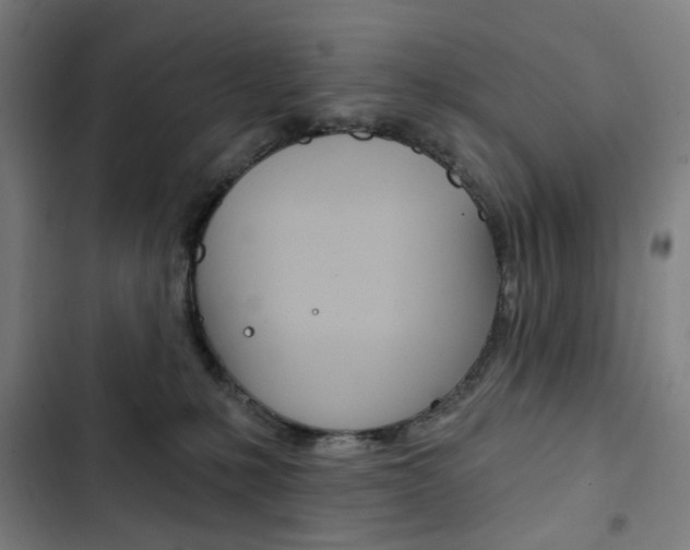 X0000103320231200809051006