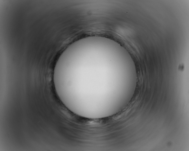 X0000103320232200809051006