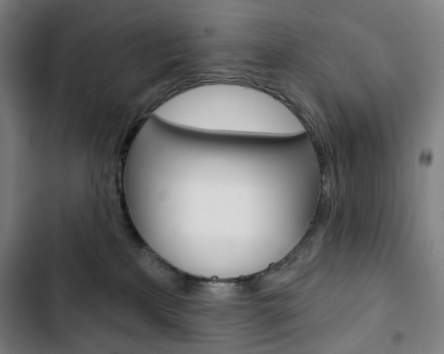 X0000103320233200809051006