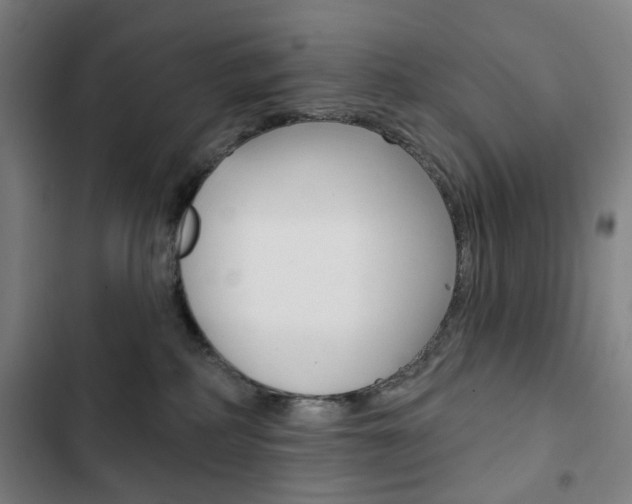 X0000103320234200809051006