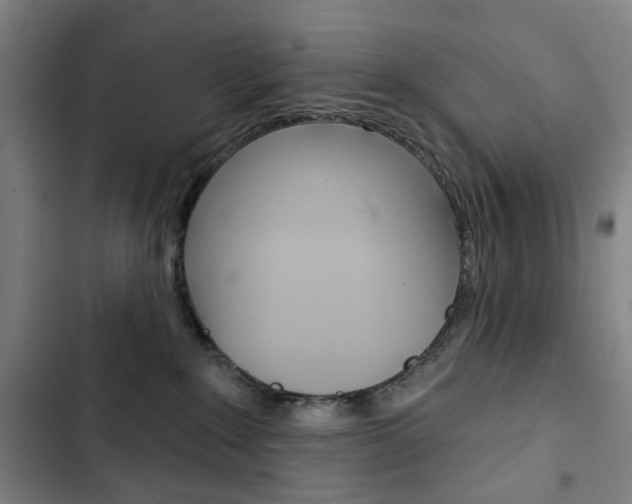 X0000103320235200809051006