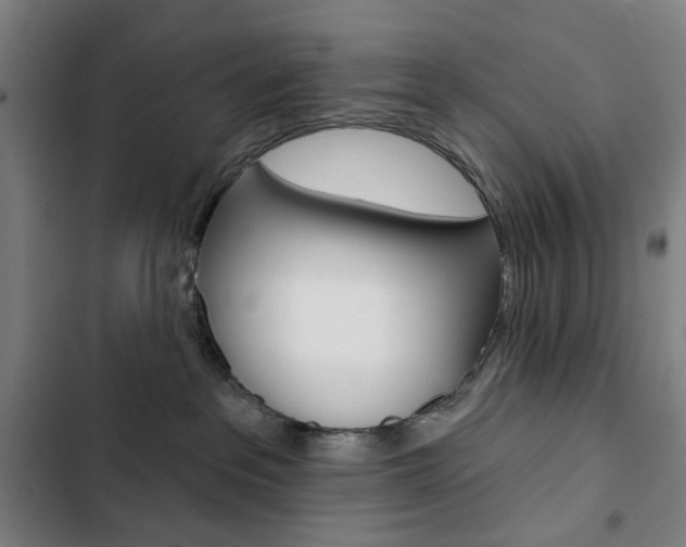 X0000103320237200809051006