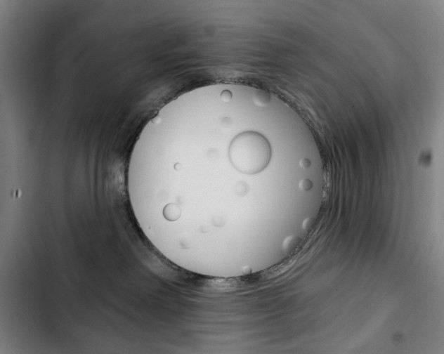 X0000103320238200809051006