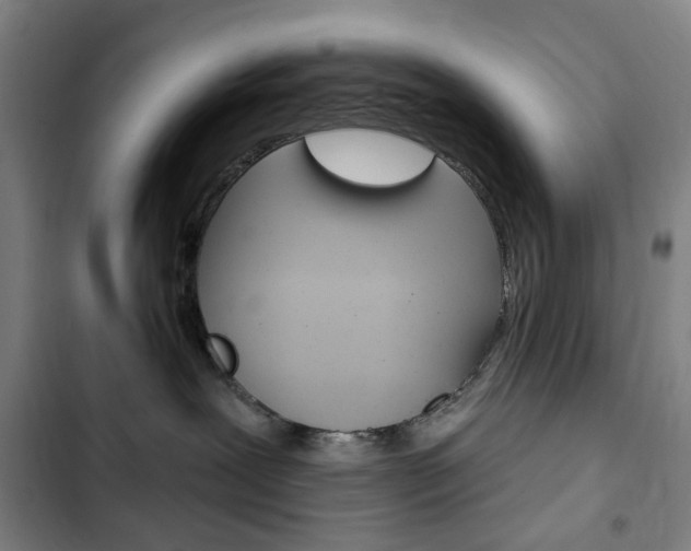 X0000103320239200809051006