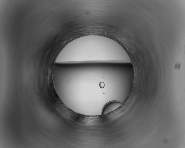 X0000103320240200809051006