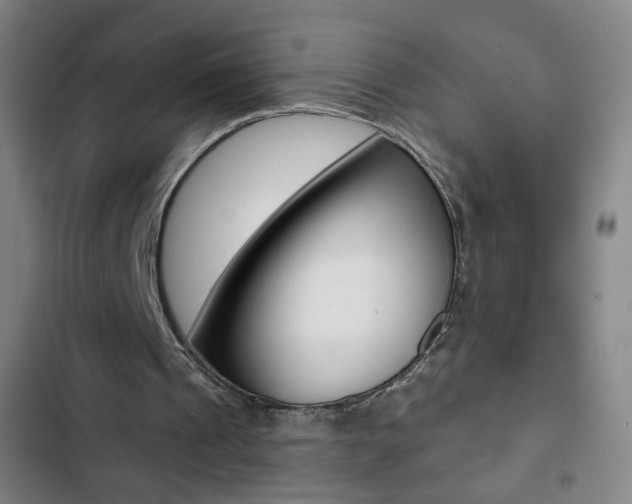 X0000103320241200809051005