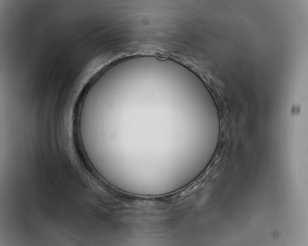 X0000103320242200809051005
