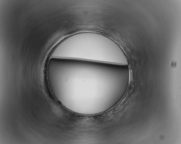 X0000103320243200809051005