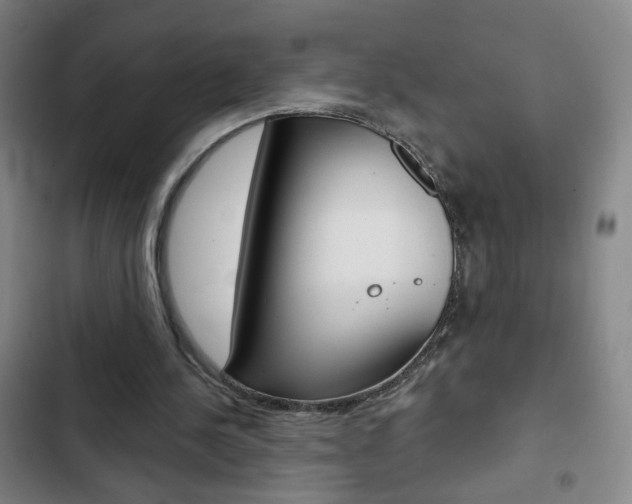 X0000103320244200809051005