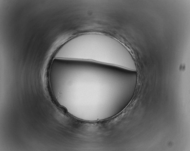 X0000103320245200809051005