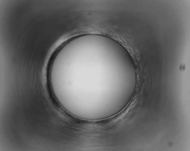 X0000103320246200809051005