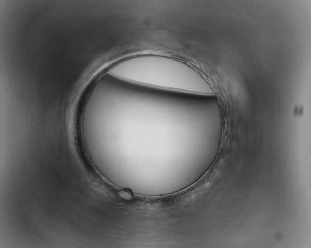 X0000103320247200809051005