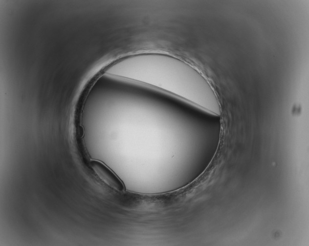 X0000103320248200809051005