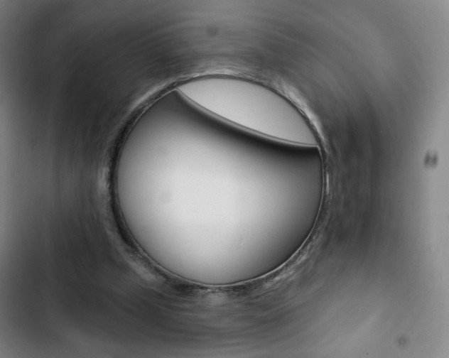 X0000103320249200809051005
