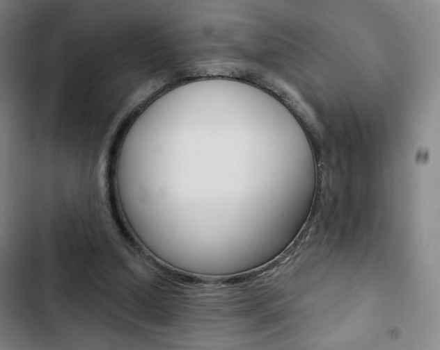 X0000103320250200809051005