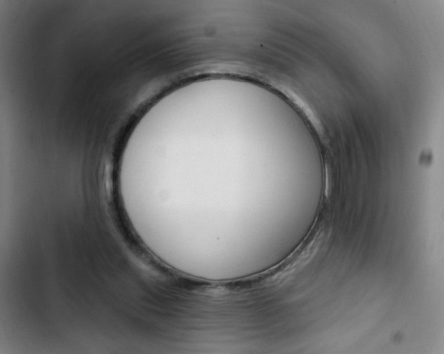 X0000103320253200809051006