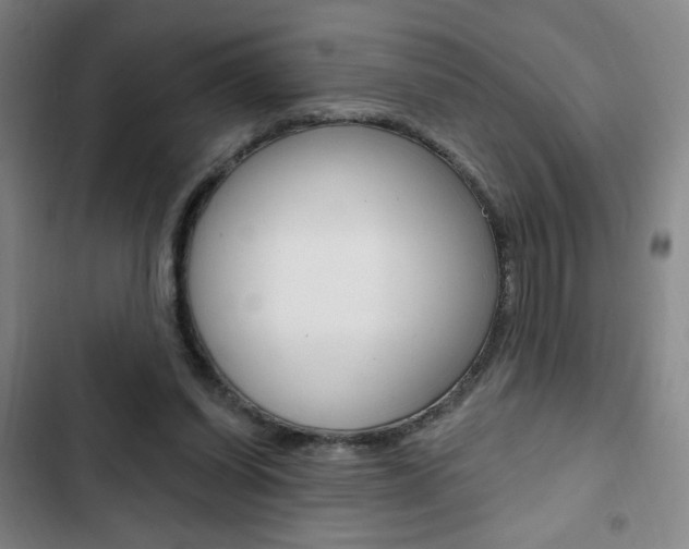 X0000103320254200809051006