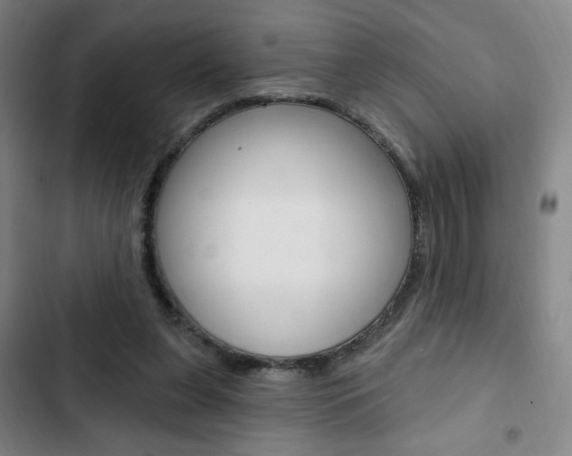 X0000103320255200809051006