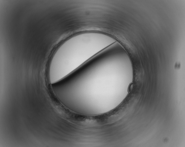 X0000103320256200809051006