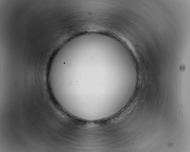 X0000103320257200809051006