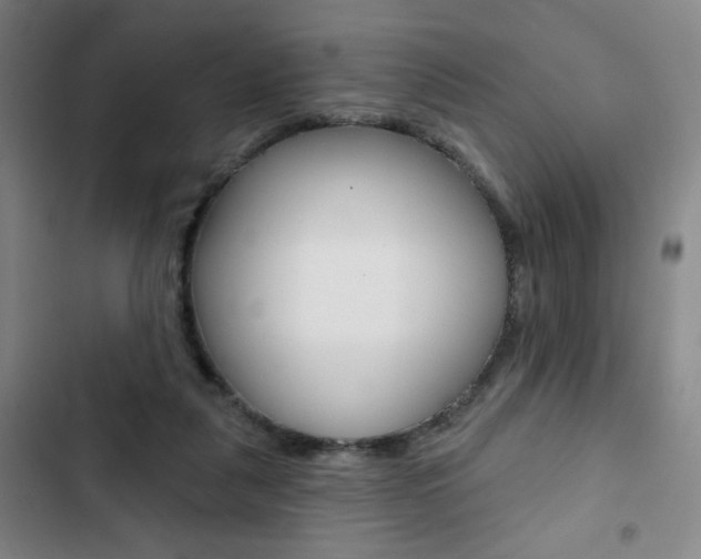 X0000103320259200809051006