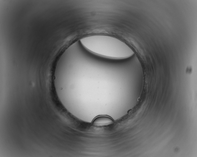 X0000103320260200809051006