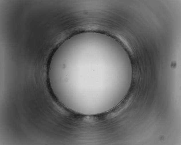 X0000103320261200809051006
