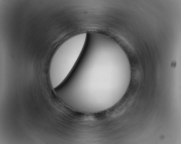X0000103320262200809051006