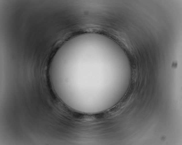 X0000103320263200809051006