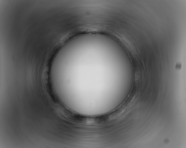 X0000103320264200809051006