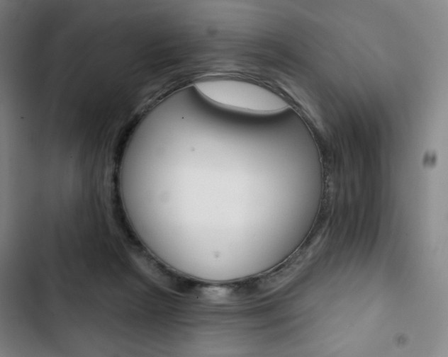 X0000103320265200809051006