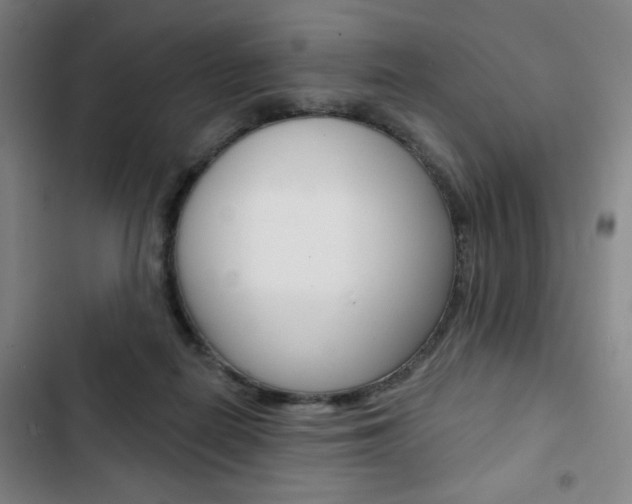 X0000103320266200809051006