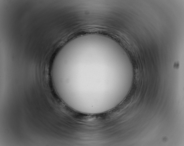 X0000103320267200809051006