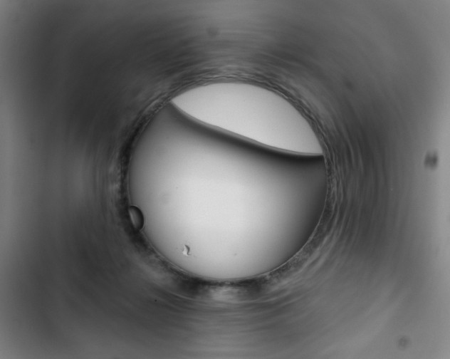 X0000103320268200809051006