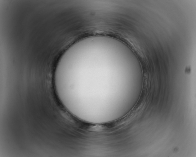 X0000103320269200809051006