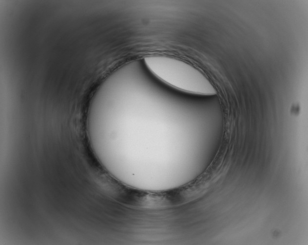 X0000103320270200809051006