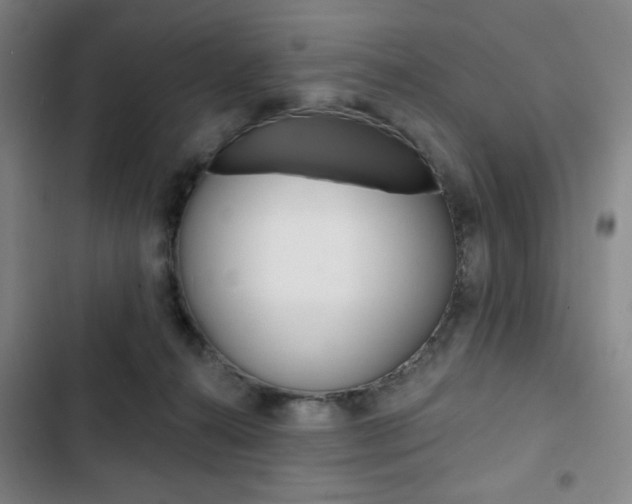 X0000103320272200809051006